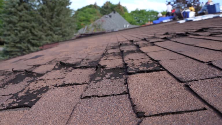Best Skylights  in Seaford, NY