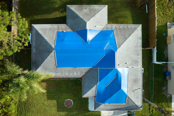 Best Roof Coating and Sealing  in Seaford, NY