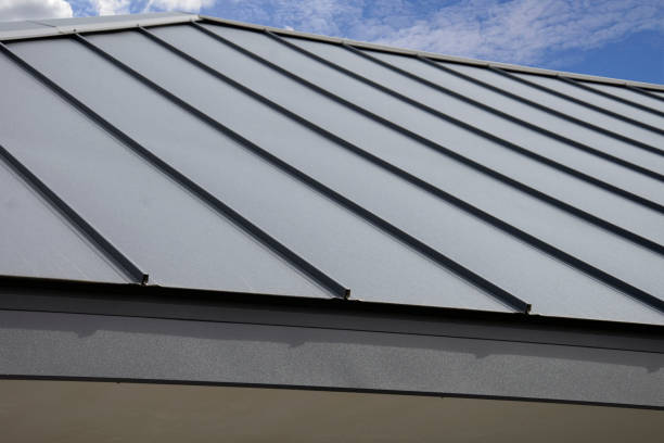 Best Roof Moss and Algae Removal  in Seaford, NY